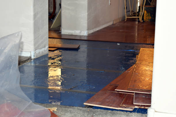 Professional Emergency Water Damage Restoration technician working in Ashton, IL